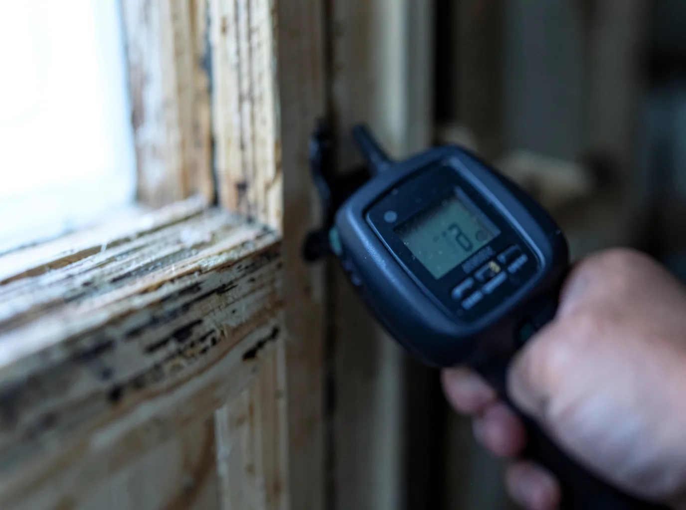 Moisture Inspection And Documentation in Thorp, WI